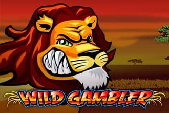 Wild Gambler