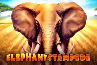 Elephant Stampede